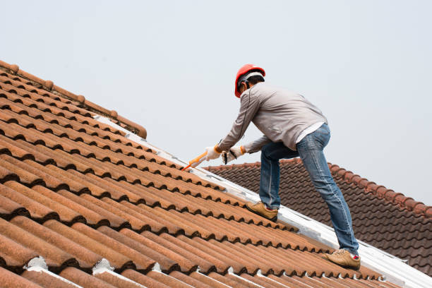 Best Gutter Installation and Repair  in Mendota, IL